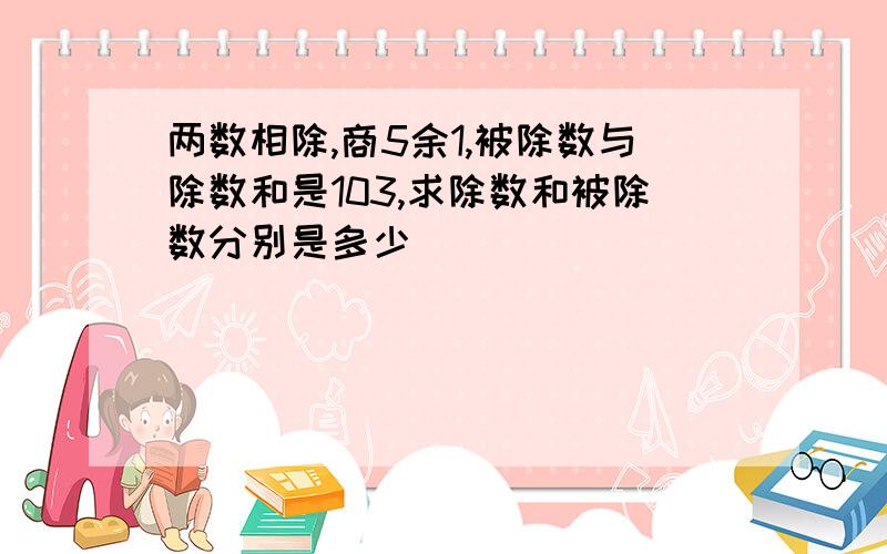 两数相除,商5余1,被除数与除数和是103,求除数和被除数分别是多少