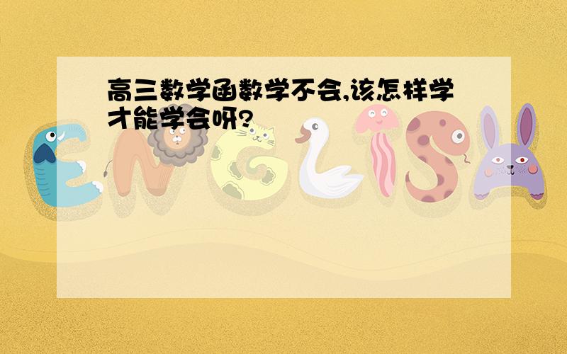 高三数学函数学不会,该怎样学才能学会呀?