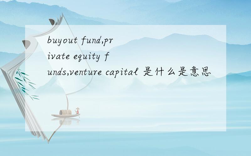 buyout fund,private equity funds,venture capital 是什么是意思