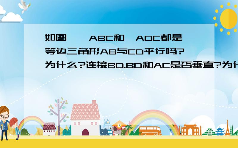 如图,△ABC和△ADC都是等边三角形AB与CD平行吗?为什么?连接BD.BD和AC是否垂直?为什么?（不要用菱形的对角线性质,我们刚刚学到等边三角形这一章）