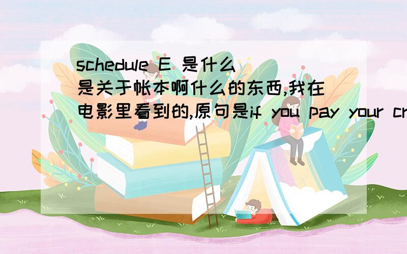 schedule E 是什么是关于帐本啊什么的东西,我在电影里看到的,原句是if you pay your crews in cash,you'll need a perfect schedule E to avoid enquiries.