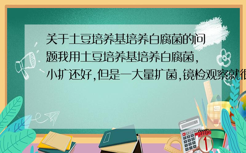 关于土豆培养基培养白腐菌的问题我用土豆培养基培养白腐菌,小扩还好,但是一大量扩菌,镜检观察就很容易出现酵母菌.严格控制ph也 不能 很好地解决问题.有没有人遇见过这样的问题,又是如