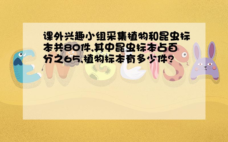 课外兴趣小组采集植物和昆虫标本共80件,其中昆虫标本占百分之65,植物标本有多少件?