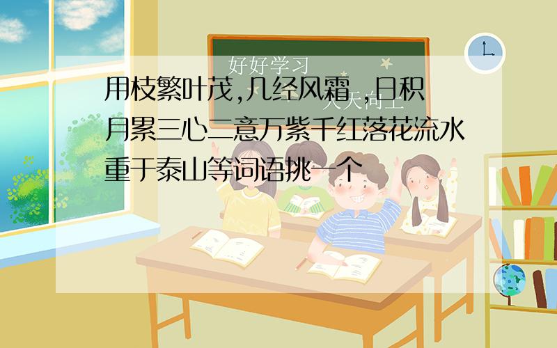 用枝繁叶茂,几经风霜 ,日积月累三心二意万紫千红落花流水重于泰山等词语挑一个