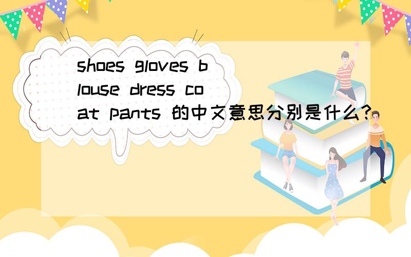 shoes gloves blouse dress coat pants 的中文意思分别是什么?