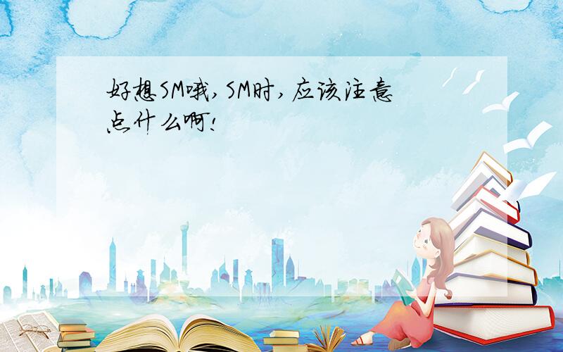 好想SM哦,SM时,应该注意点什么啊!