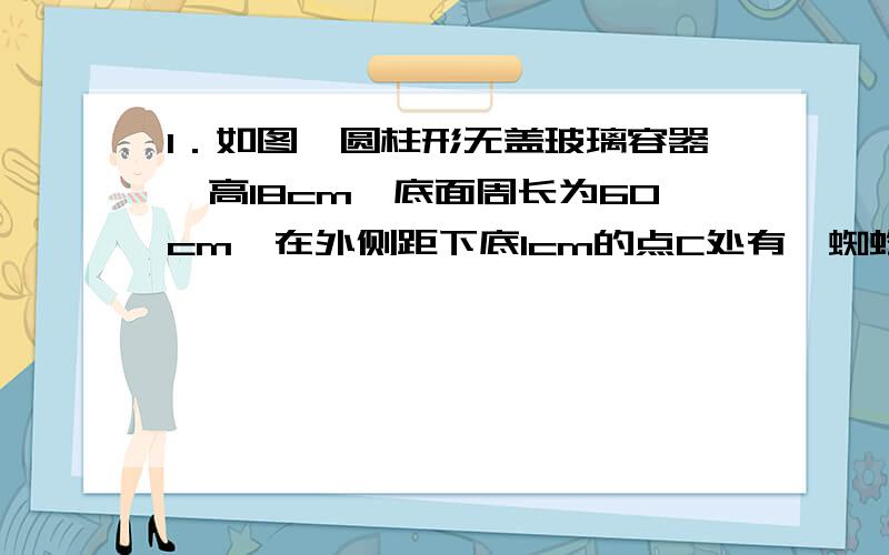 1．如图,圆柱形无盖玻璃容器,高18cm,底面周长为60cm,在外侧距下底1cm的点C处有一蜘蛛,与蜘蛛相对的圆柱形容器的上口外侧距开口1cm的F处有一苍蝇,试求急于捕获苍蝇充饥的蜘蛛所走的最短路