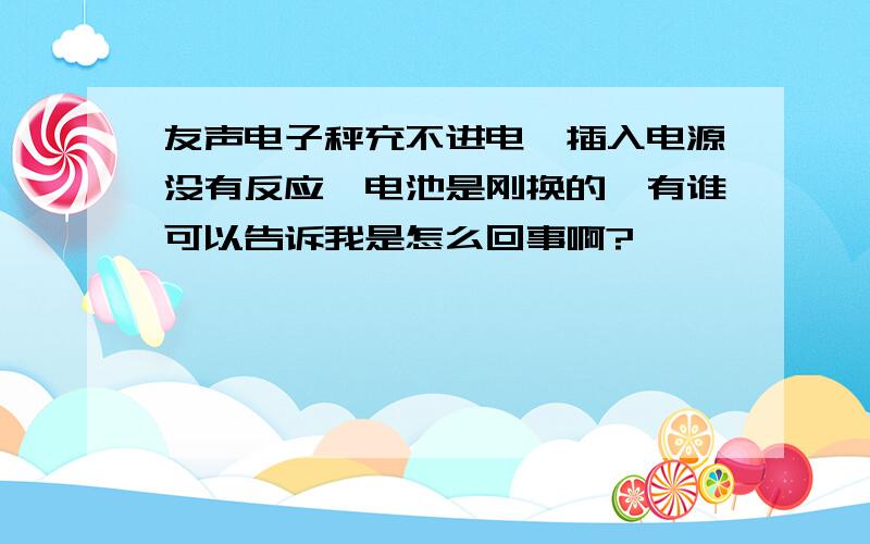 友声电子秤充不进电,插入电源没有反应,电池是刚换的,有谁可以告诉我是怎么回事啊?