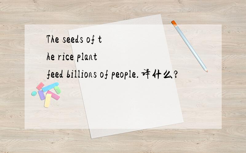 The seeds of the rice plant feed billions of people.译什么?