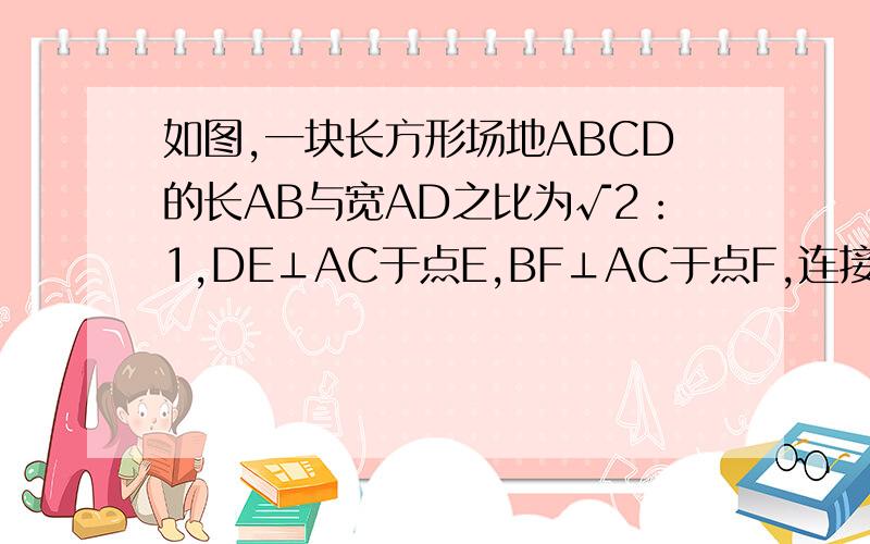 如图,一块长方形场地ABCD的长AB与宽AD之比为√2：1,DE⊥AC于点E,BF⊥AC于点F,连接BE,DF.现计划在四边形DEBF区域内种植花草,求四边形DEBF与长方形ABCD的面积之比. 本人初二