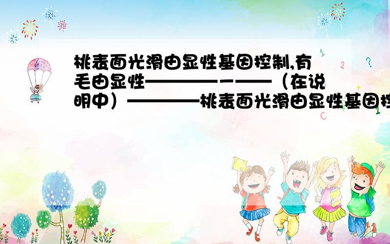 桃表面光滑由显性基因控制,有毛由显性————－——（在说明中）————桃表面光滑由显性基因控制,有毛由显性基因控制,现对雌毛桃（bb）授予光桃（Bb）的花粉,该雌桃发育成的果实