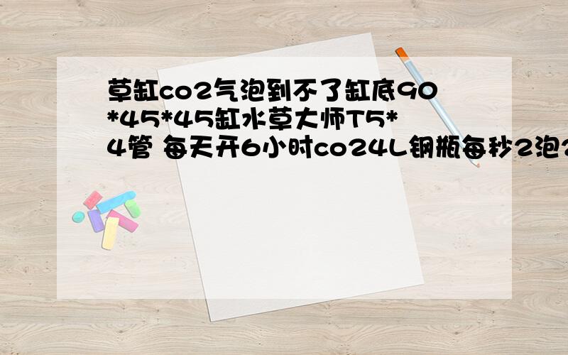 草缸co2气泡到不了缸底90*45*45缸水草大师T5*4管 每天开6小时co24L钢瓶每秒2泡24小时开森森外置过滤桶 302 24小时开 我放在出水口.好像CO2都不到水草那边.就直接往上浮起来了 后来调了一下出水