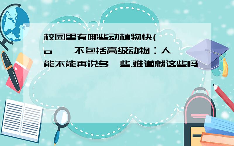 校园里有哪些动植物快( ⊙ o ⊙ 不包括高级动物：人 能不能再说多一些，难道就这些吗