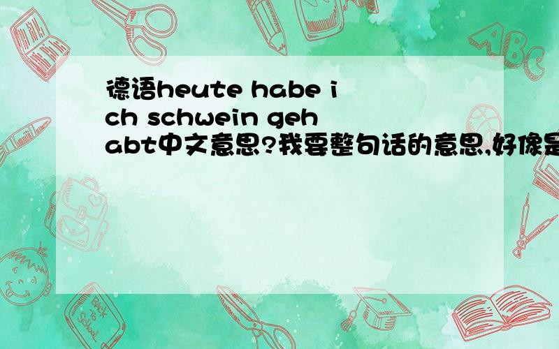 德语heute habe ich schwein gehabt中文意思?我要整句话的意思,好像是个问句