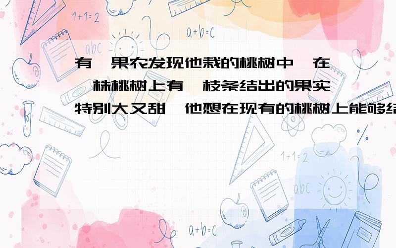 有一果农发现他栽的桃树中,在一株桃树上有一枝条结出的果实特别大又甜,他想在现有的桃树上能够结出特别大又甜的果实应采用的方法是_______.