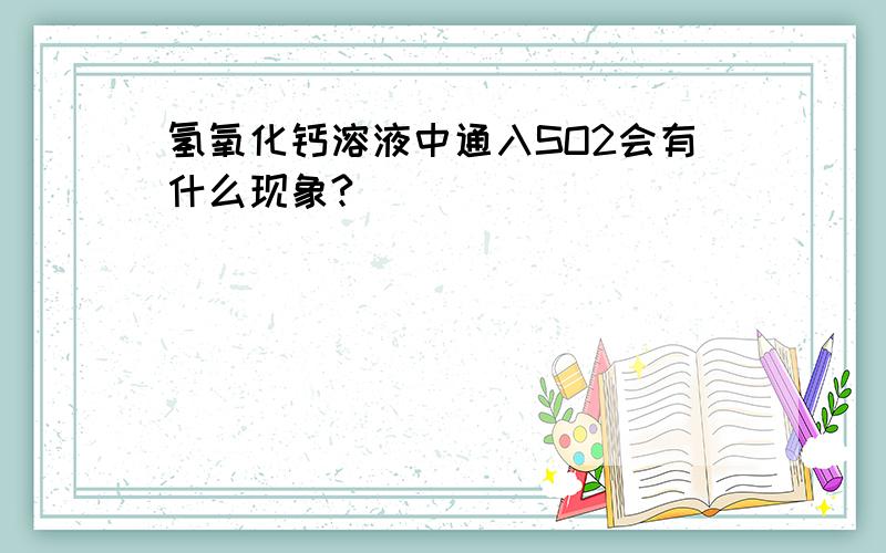 氢氧化钙溶液中通入SO2会有什么现象?