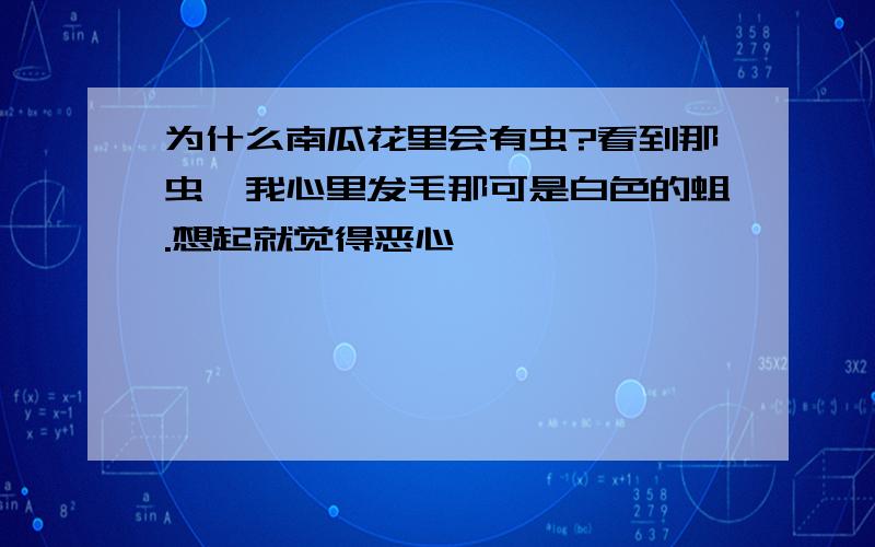 为什么南瓜花里会有虫?看到那虫,我心里发毛那可是白色的蛆.想起就觉得恶心