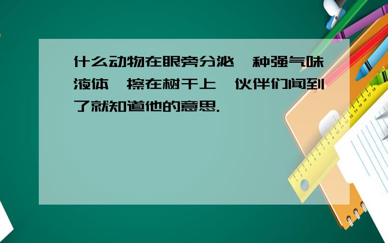 什么动物在眼旁分泌一种强气味液体,擦在树干上,伙伴们闻到了就知道他的意思.