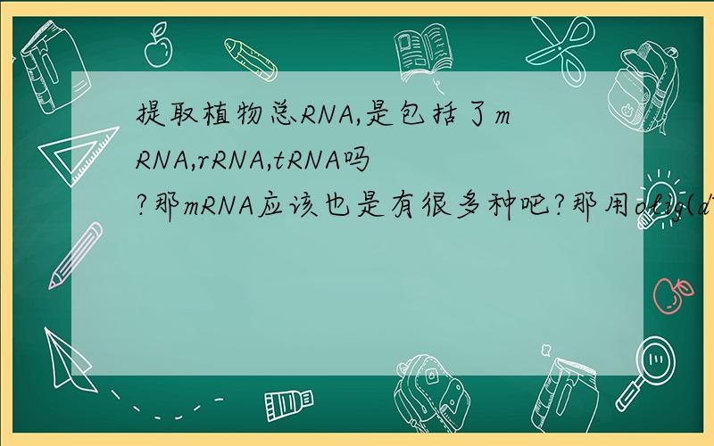 提取植物总RNA,是包括了mRNA,rRNA,tRNA吗?那mRNA应该也是有很多种吧?那用olig(dT）反转录得到什么?提取植物总RNA,是包括了mRNA,rRNA,tRNA吗?那一个基因转录一个mRNA,所以mRNA也是有不同序列不同大小的