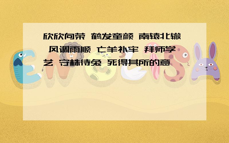 欣欣向荣 鹤发童颜 南辕北辙 风调雨顺 亡羊补牢 拜师学艺 守株待兔 死得其所的意