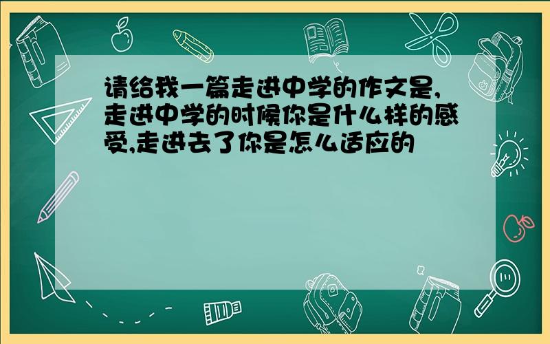 请给我一篇走进中学的作文是,走进中学的时候你是什么样的感受,走进去了你是怎么适应的