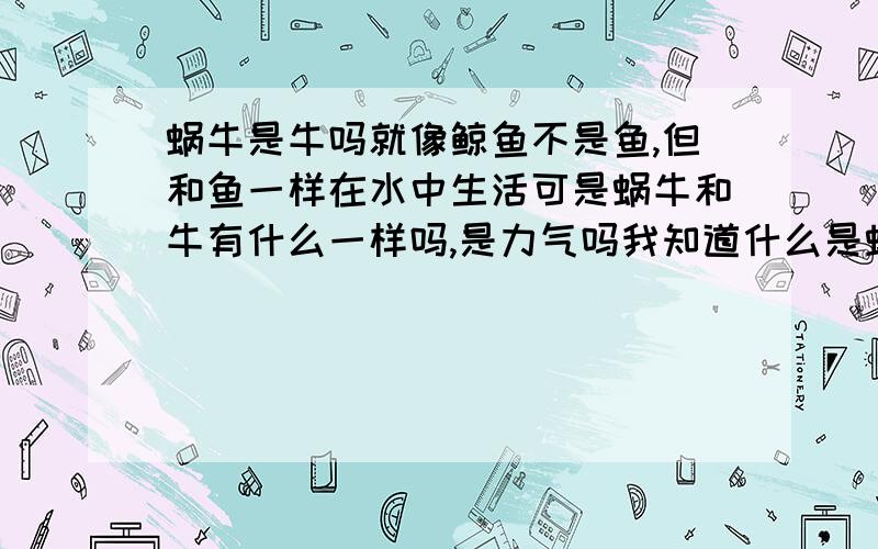 蜗牛是牛吗就像鲸鱼不是鱼,但和鱼一样在水中生活可是蜗牛和牛有什么一样吗,是力气吗我知道什么是蜗牛只是想问专业一点