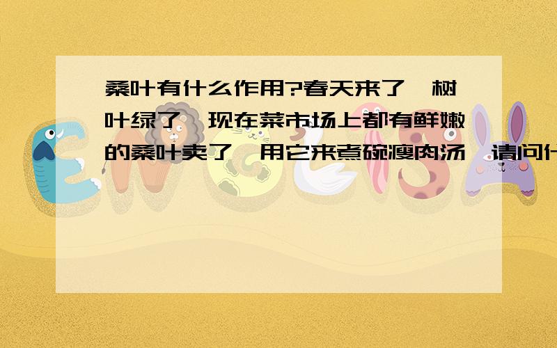 桑叶有什么作用?春天来了,树叶绿了,现在菜市场上都有鲜嫩的桑叶卖了,用它来煮碗瘦肉汤,请问什么功效呢?