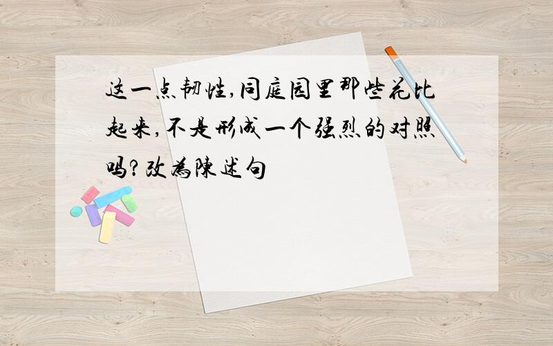 这一点韧性,同庭园里那些花比起来,不是形成一个强烈的对照吗?改为陈述句