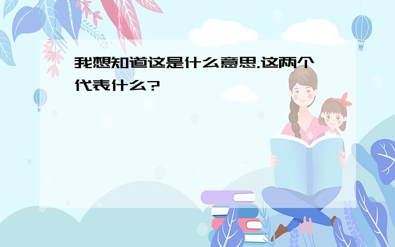 我想知道这是什么意思.这两个代表什么?