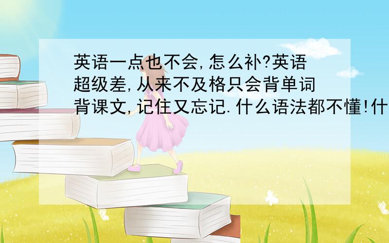 英语一点也不会,怎么补?英语超级差,从来不及格只会背单词背课文,记住又忘记.什么语法都不懂!什么写作文之类的,再倒数我估计中考的时候,现在家里经济还是不算好,所以我不打算给爸妈说