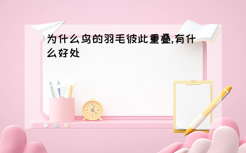 为什么鸟的羽毛彼此重叠,有什么好处