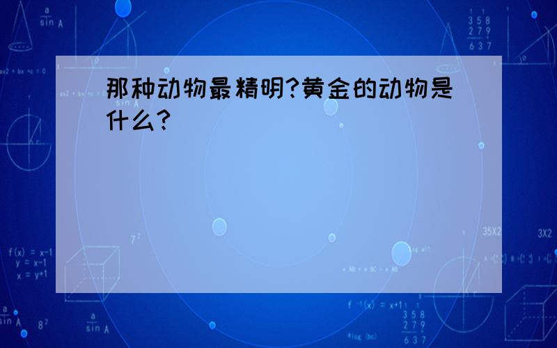 那种动物最精明?黄金的动物是什么?