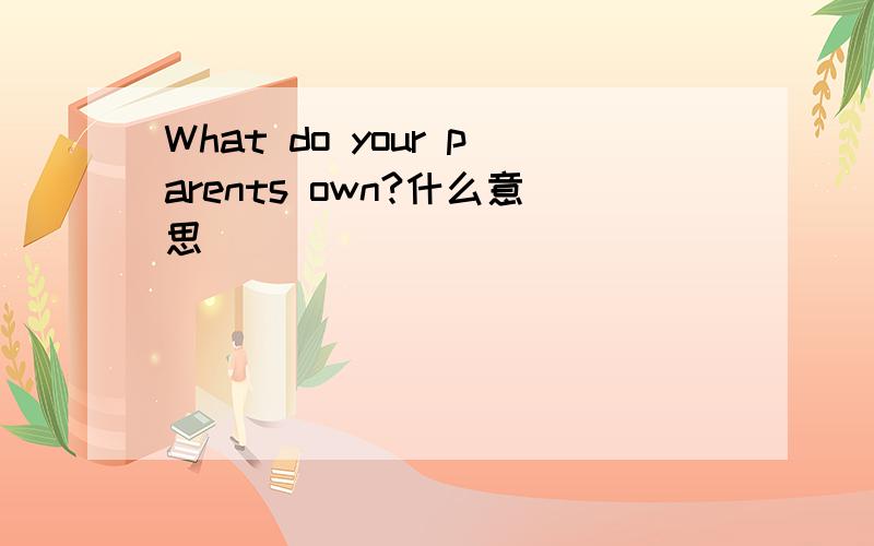 What do your parents own?什么意思