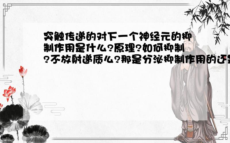 突触传递的对下一个神经元的抑制作用是什么?原理?如何抑制?不放射递质么?那是分泌抑制作用的还是分泌兴奋作用的递质,这个如何决定?我觉得无法决定,是由神经本身构造不同吧~一个神经