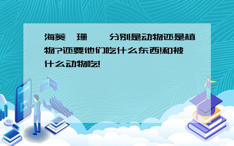 海葵、珊瑚,分别是动物还是植物?还要他们吃什么东西!和被什么动物吃!