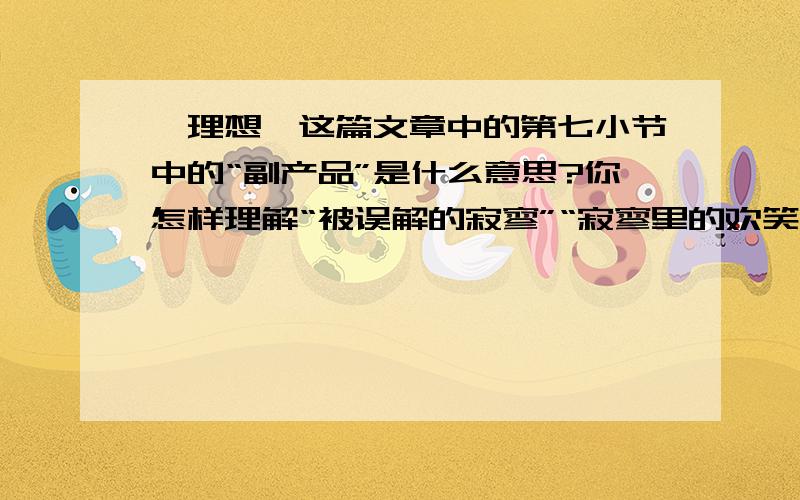 《理想》这篇文章中的第七小节中的“副产品”是什么意思?你怎样理解“被误解的寂寥”“寂寥里的欢笑”和“欢笑里的酸辛”（接上面的）