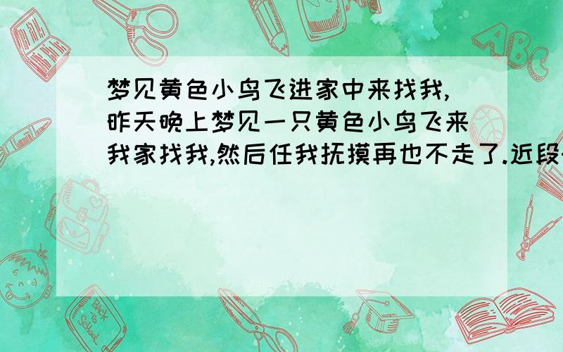 梦见黄色小鸟飞进家中来找我,昨天晚上梦见一只黄色小鸟飞来我家找我,然后任我抚摸再也不走了.近段时间因为男朋友的问题和家里僵持不下,不知道这梦是否有什么寓意?不要粘贴的,