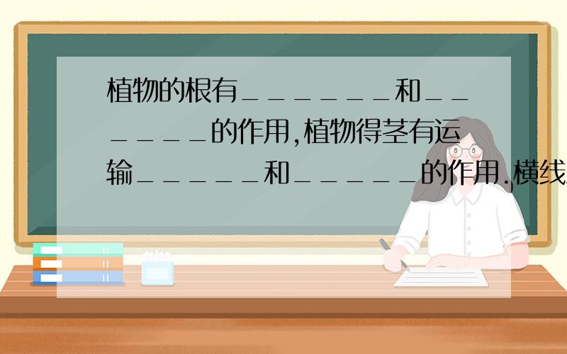 植物的根有______和______的作用,植物得茎有运输_____和_____的作用.横线上填答案.