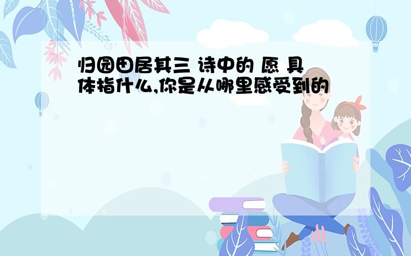 归园田居其三 诗中的 愿 具体指什么,你是从哪里感受到的