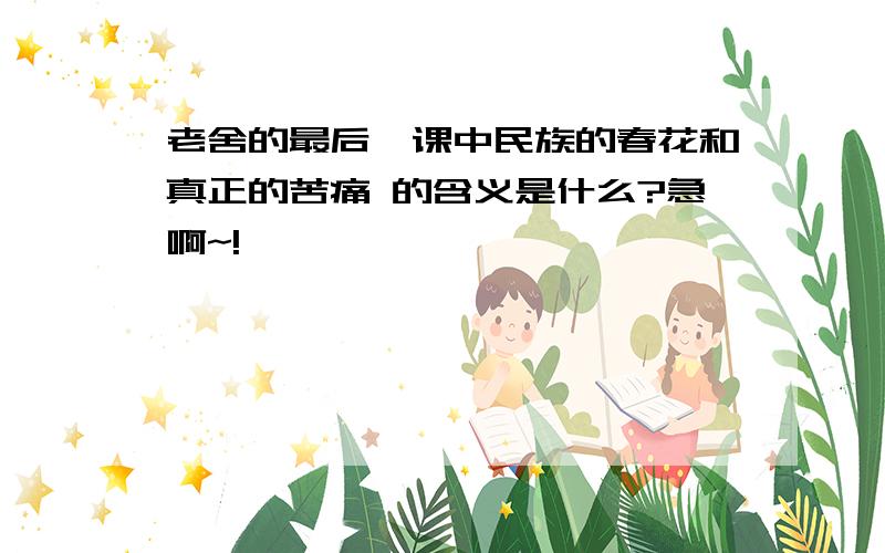 老舍的最后一课中民族的春花和真正的苦痛 的含义是什么?急啊~!