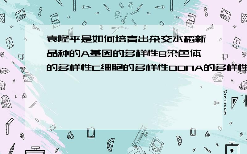 袁隆平是如何培育出杂交水稻新品种的A基因的多样性B染色体的多样性C细胞的多样性DDNA的多样性