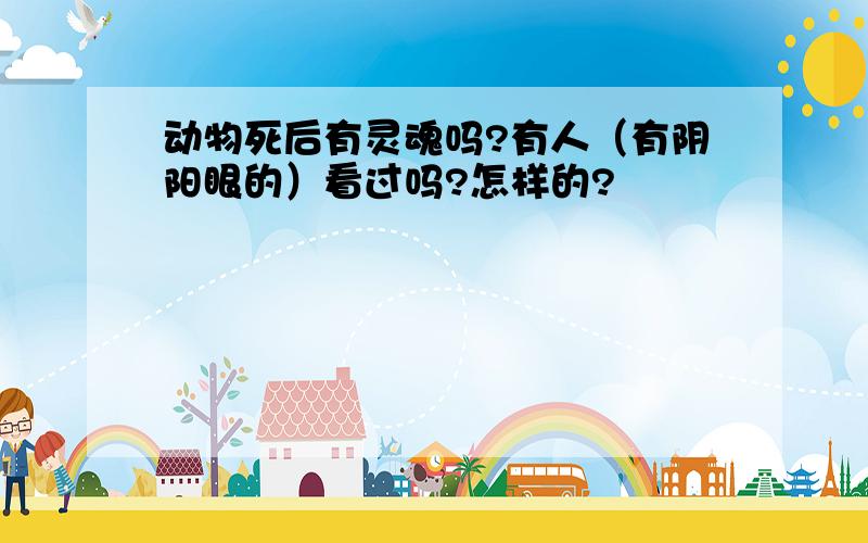 动物死后有灵魂吗?有人（有阴阳眼的）看过吗?怎样的?