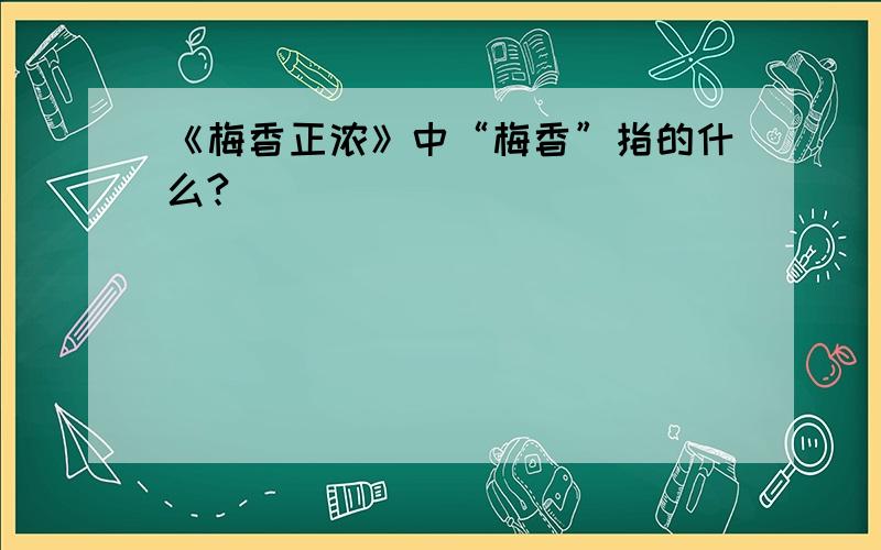 《梅香正浓》中“梅香”指的什么?