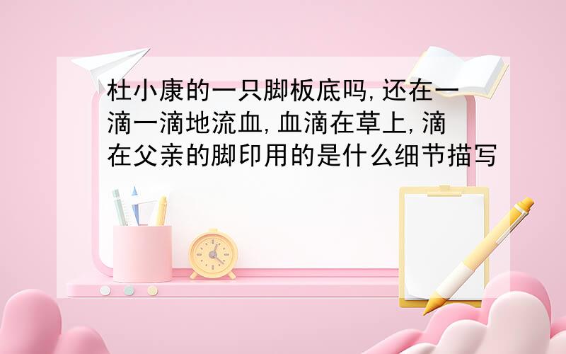 杜小康的一只脚板底吗,还在一滴一滴地流血,血滴在草上,滴在父亲的脚印用的是什么细节描写