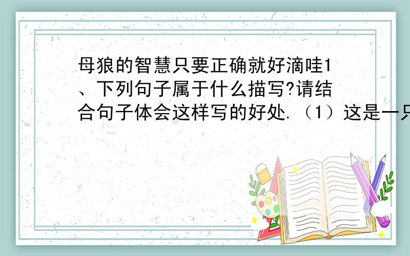 母狼的智慧只要正确就好滴哇1、下列句子属于什么描写?请结合句子体会这样写的好处.（1）这是一只奇怪的狼,也许它昏了头,我这样想着……（2）一边走一边想,真是一只不可思议的狼,它为