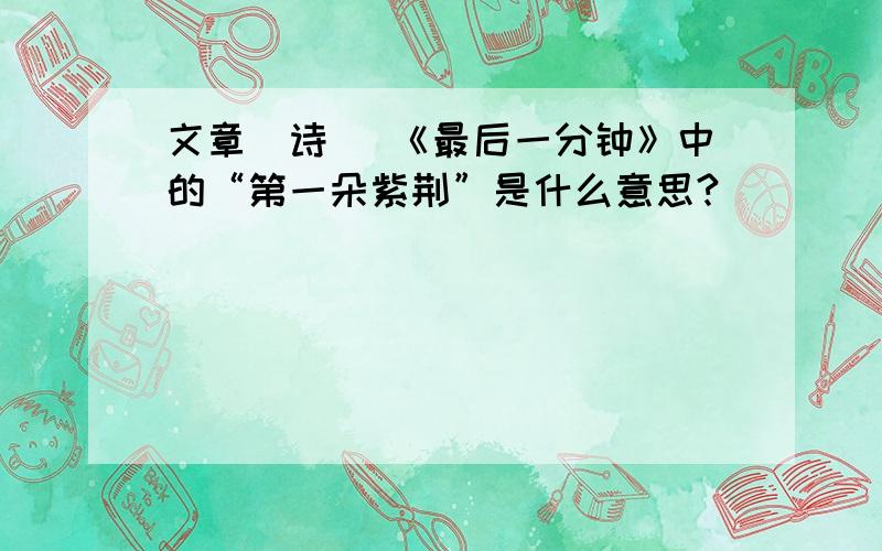 文章（诗） 《最后一分钟》中的“第一朵紫荆”是什么意思?