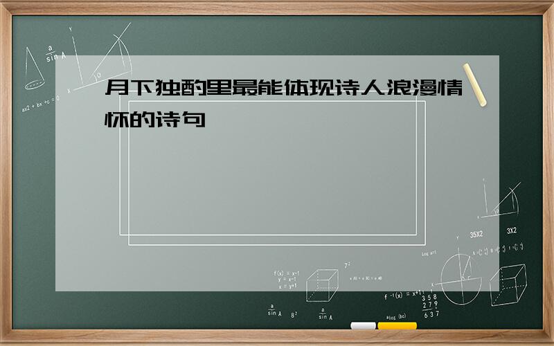 月下独酌里最能体现诗人浪漫情怀的诗句