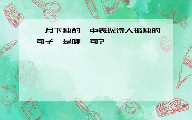 【月下独酌】中表现诗人孤独的句子,是哪一句?