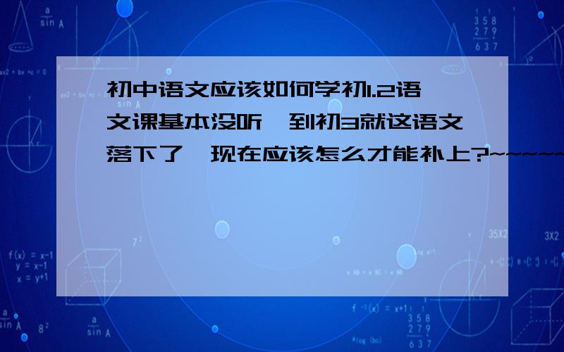 初中语文应该如何学初1.2语文课基本没听,到初3就这语文落下了,现在应该怎么才能补上?~~~~~急啊~~~