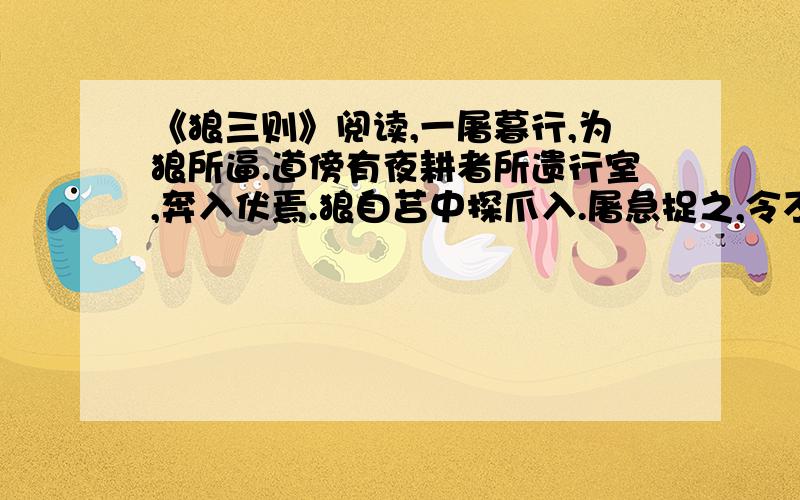 《狼三则》阅读,一屠暮行,为狼所逼.道傍有夜耕者所遗行室,奔入伏焉.狼自苫中探爪入.屠急捉之,令不可去.顾无计可以死之.惟有小刀不盈寸,遂割破爪下皮,以吹豕之法吹之.极力吹移时,觉狼不